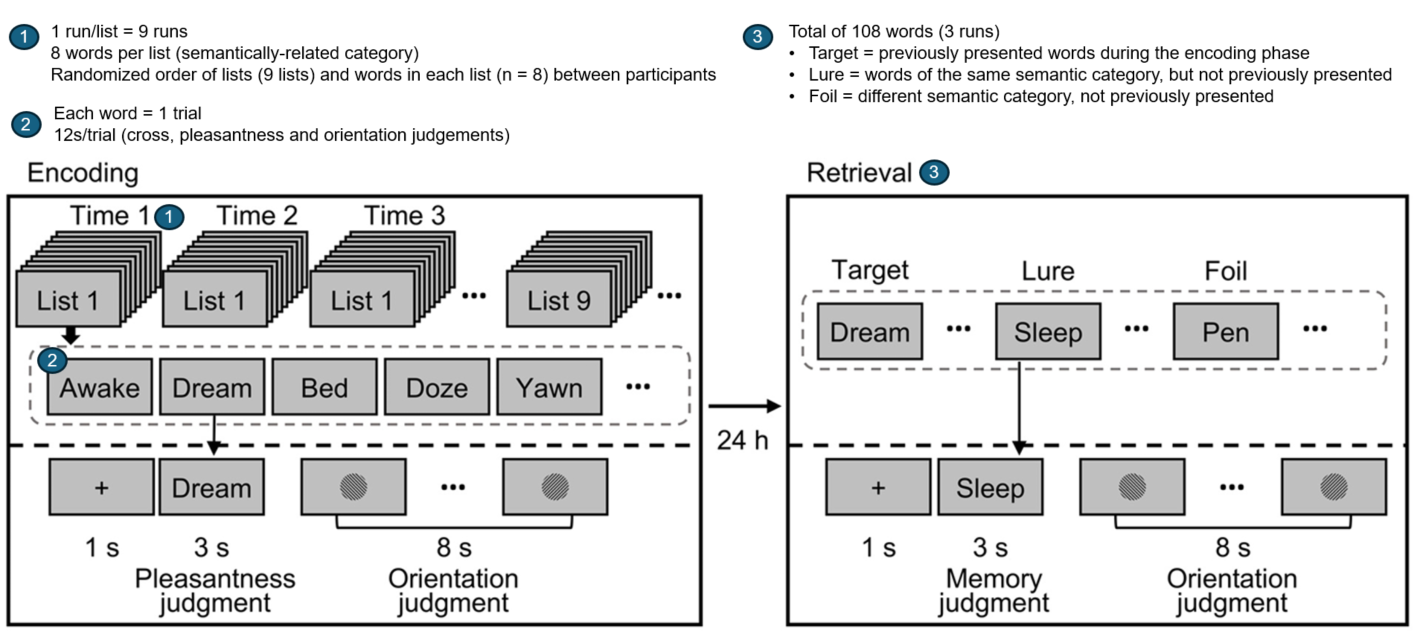 fMRI Task