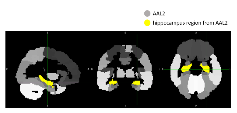 Hippocampus Beta Map